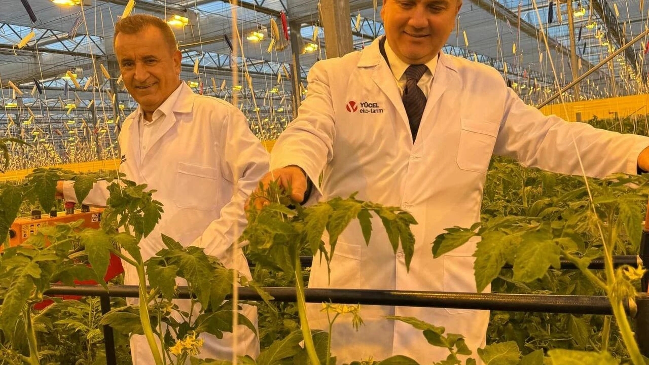 Yücel Eko Tarım