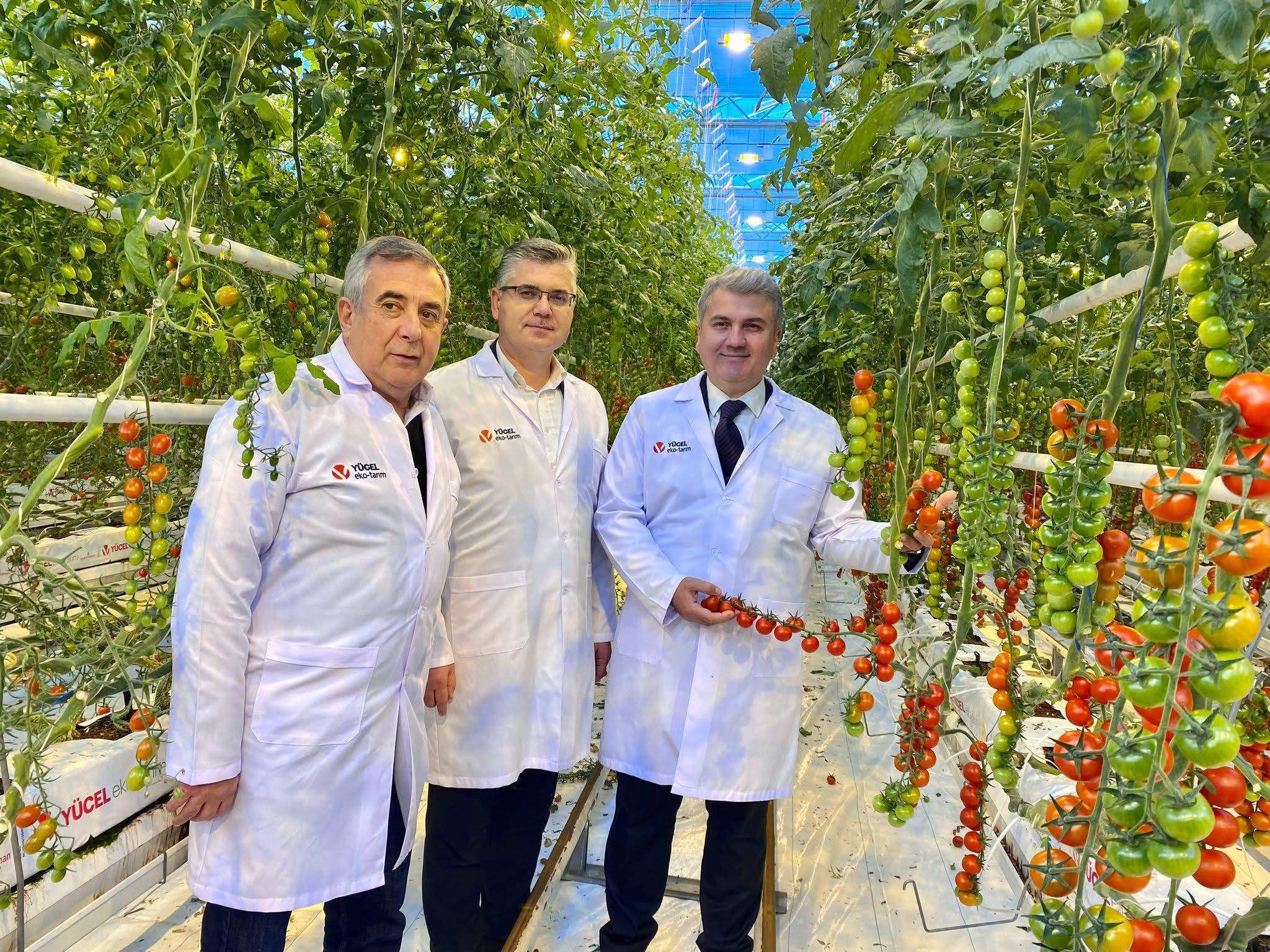 Yücel Eko Tarım